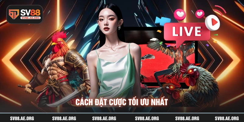 Cách đặt cược tối ưu nhất