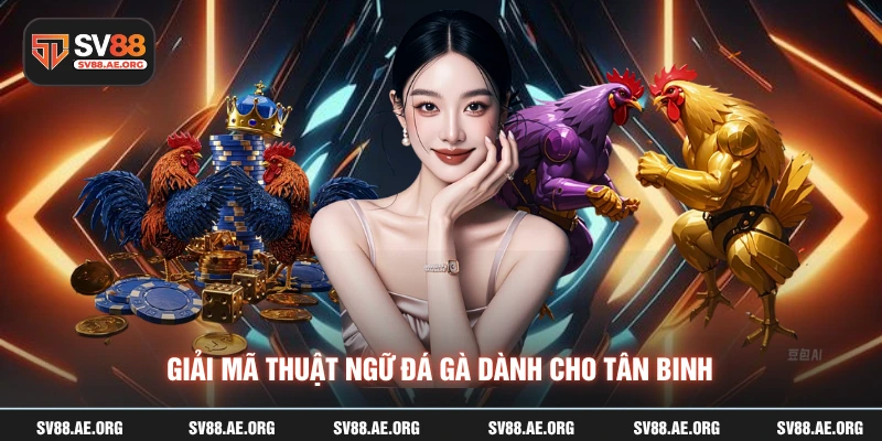 Giải mã thuật ngữ đá gà dành cho tân binh