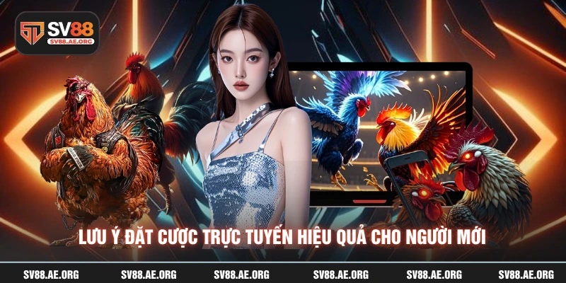 Lưu ý đặt cược trực tuyến hiệu quả cho người mới