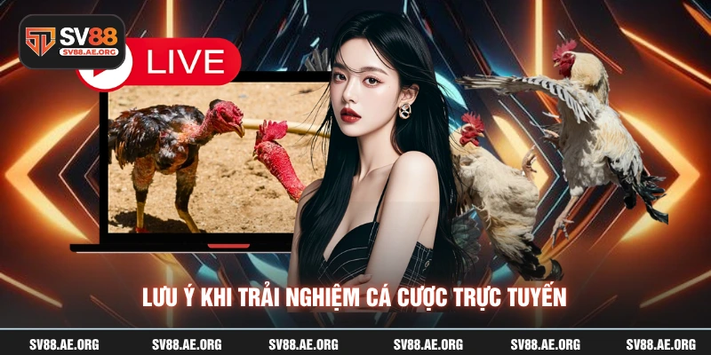 Lưu ý khi trải nghiệm cá cược trực tuyến