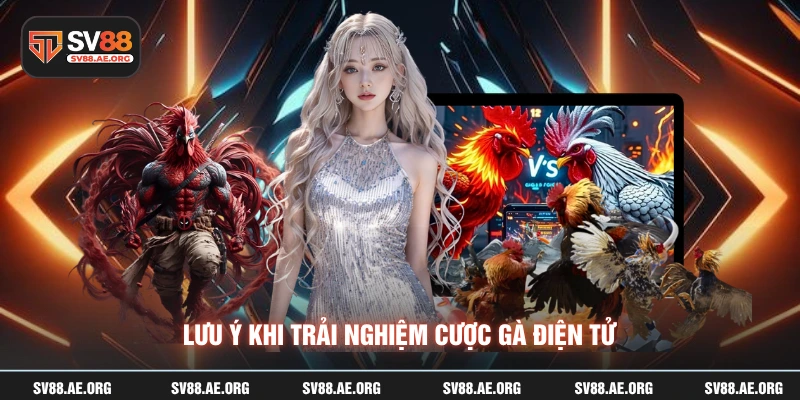 Lưu ý khi trải nghiệm cược gà điện tử