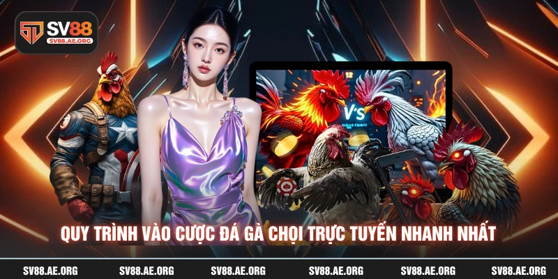 Quy trình vào cược đá gà chọi trực tuyến nhanh nhất