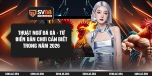 Thuật Ngữ Đá Gà - Từ Điển Dân Chơi Cần Biết Trong Năm 2026
